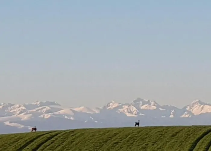 La Bergerie